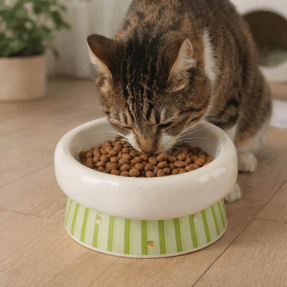 Wide Mouth Dog Food Feeder Anti-Slip Base Elevated Feeding Bowl  for Cats Dog Puppy