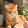 Orange Pet Wig Cat Cosplay Wig Funny Pet Wig Hair with Adjustable Elastic Bands for Halloween Christmas Party Costume Accessory