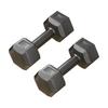 One Pair Hex Dumbbell Cast Iron PVC 22lb Fitness Hex Dumbbells Set for Strength Training