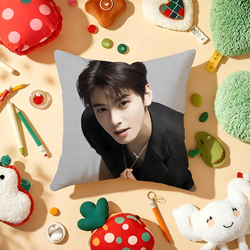 Kpop Singer Cha EEun WWoo Cushion Cover Plush Fabric Soft DoubleSided Printed Sofa Warm Winter Home Gift Pillow Cover