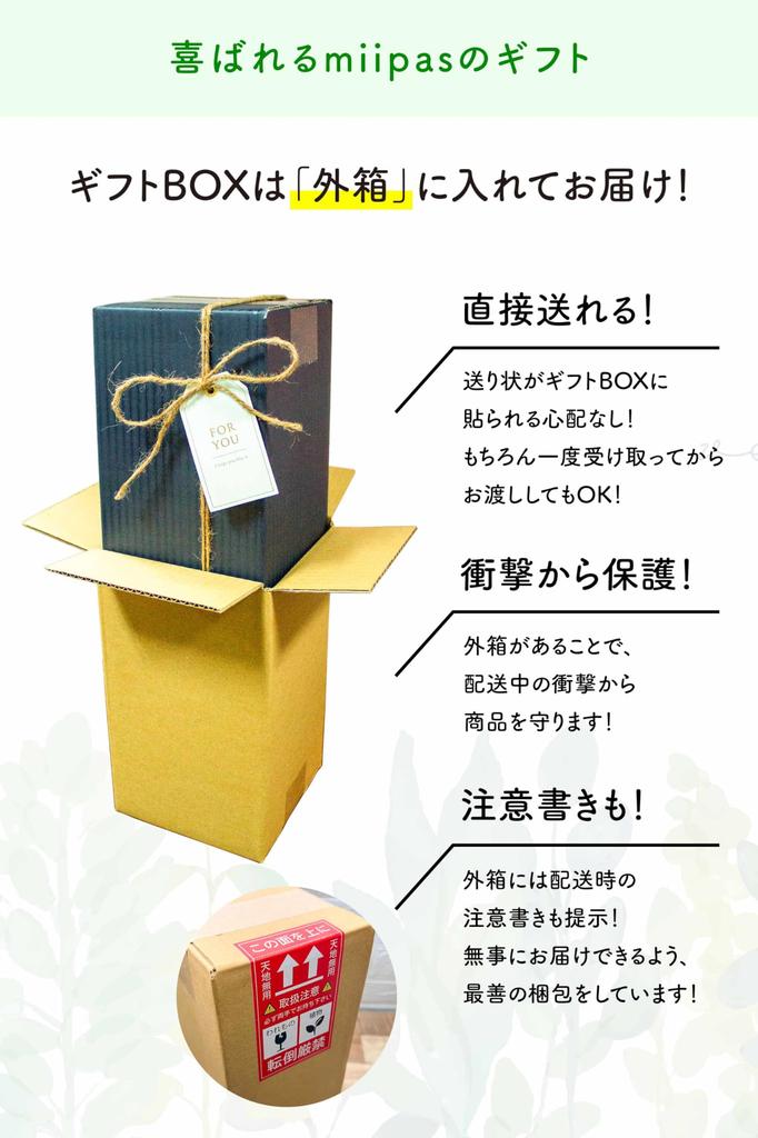 Подарочная коробка с сансевиерией, набор, коробка, которую можно подарить на День рождения, на свадьбу, на 60-летие, в качестве подарка. Настоящее комнатное растение, гидрокультура, мини.