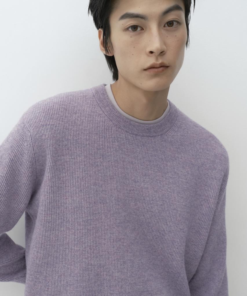MUSINSA STANDARD [Victoria Wool] Minimal Ribbed Crop Knit [Purple]