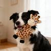 Pet Toys -  Large Dog Biting - Playing Alone - Dogs  Boredom By Chewing And Grinding Their Teeth And Making Sounds
