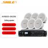 Потолочная акустическая система Shile AV8820+BX206 (Китайская версия)