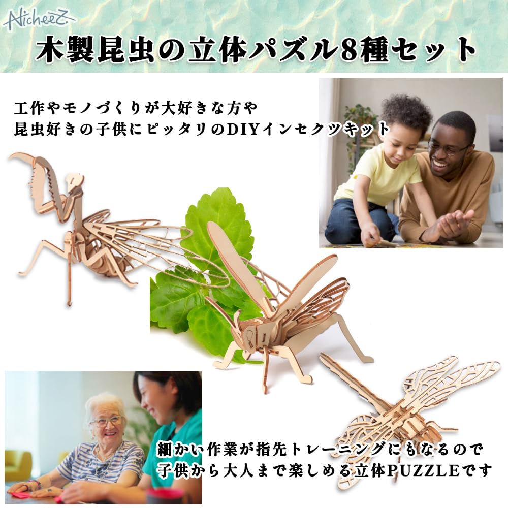 Nicheez 3D Wooden Puzzle Assembly Kit, Set of 8 Insects, Interior Model, Educational Gift