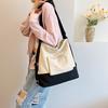 Shoulder Bag Women's Bag Trend Simple Fashion Multifunctional Handheld Diagonal Cross Double Shoulder Canvas Bag