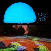 250g Glow In The Dark Stones Garden Pebbles Rocks Indoor Outdoor Decor Luminous Stone for Flower Pot Decor, Bonsai Decor 0.12-0.2inB