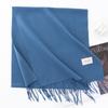 New Solid Color Maillard Imitation Cashmere Scarf for Women Autumn and Winter High End Warm Shawl Simple Scarf