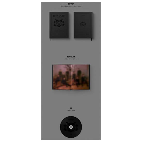 SF9 9-й мини-альбом TURN OVER SPECIAL Ver. (случайный)