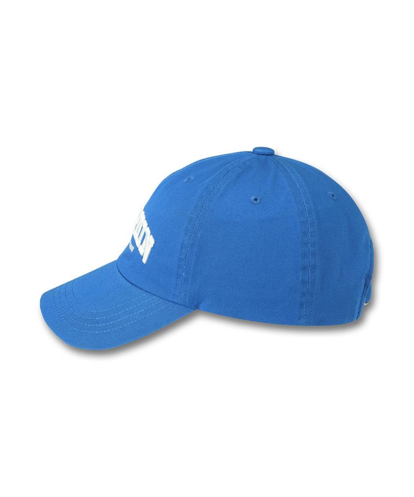 DOLPHIN WAVE APPAREL Синяя Бейсболка с аутентичным логотипом DOLPHIN WAVE