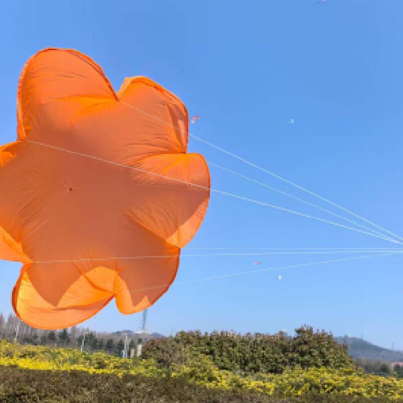 DJI FlyCart 100 Material Delivery Parachute System (10kg)