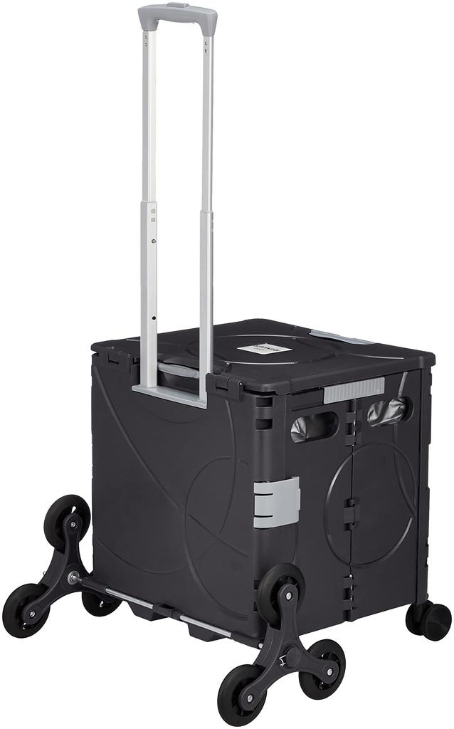 Compact Carry Case Ranger 36L