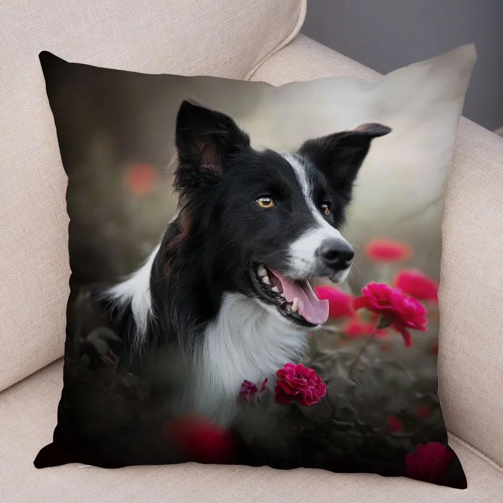 Soft Plush Cute Pet Animal Cushion Cover Scotland Border Collie Pillowcase for Sofa Car Decor Dog Printed Pillow Case