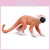 Saimiri Sciureus Monkey Educational Animal Model For Kids Play And Study