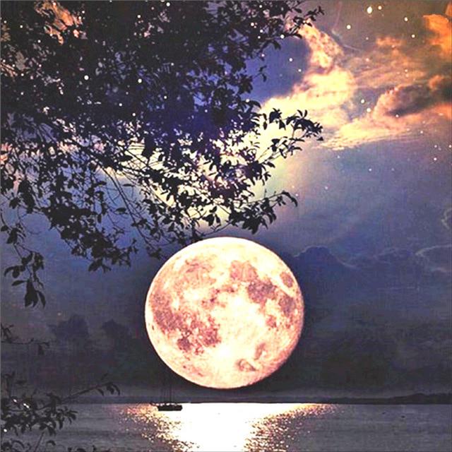 5D DIY Алмазная картина Полный круг Пейзаж Дерево Отражение Вышивка Картина Вышивка крестом