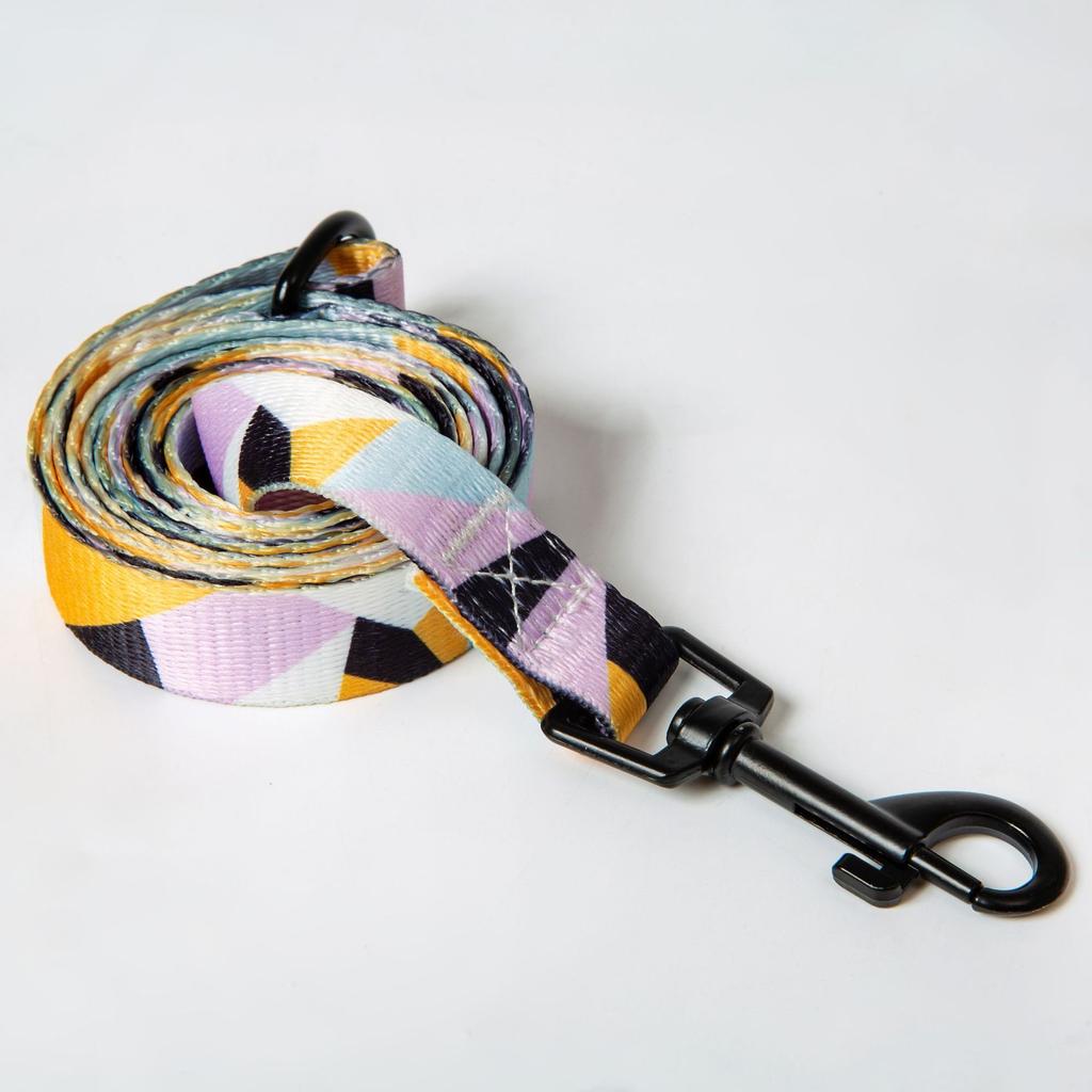 Набор ошейника и поводка для собак для маленьких и средних собак, регулируемый поводок, ошейник и поводок, аксессуары для домашних животных