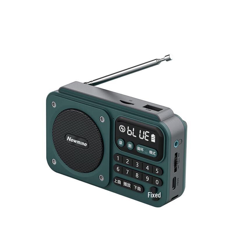 Newsmy N123 Portable Radio Bluetooth Speaker for Seniors (CN version)