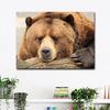 5D Full Diamond Embroidery Kit Pattern Diamond Painting Rhinestones Cartoon Bears Home Decoration