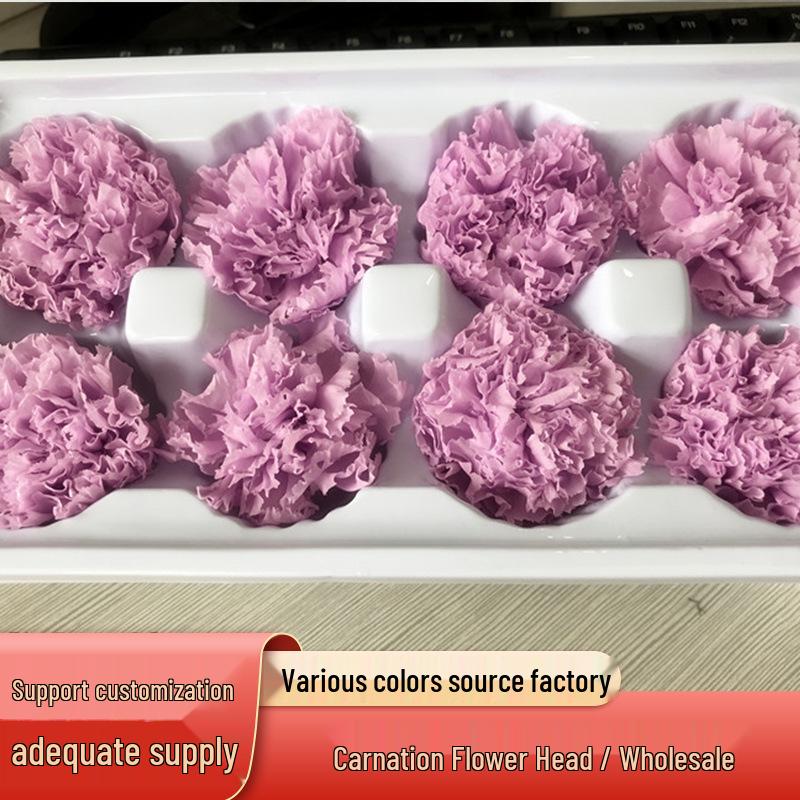 Preserved Yunnan Carnation Flowers – Perfect Mother’s Day and Birthday Gift