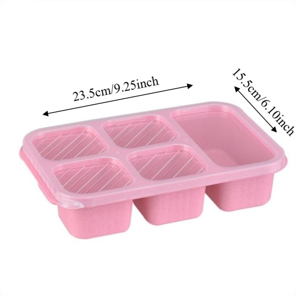 Plastic Fruits Box Transparent Lid Food Storage Box Fresh-keeping Lunch Box Students