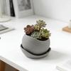 Plastic Irregular Flower Pot Desktop Ornament Plant Container New Flowerpot  Indoor Decor