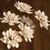1pc Dried Flower White Snow Lotus Dry Branch Blossom Wedding Home Decoration DIY Handmade Floral Arrangement Party Decor