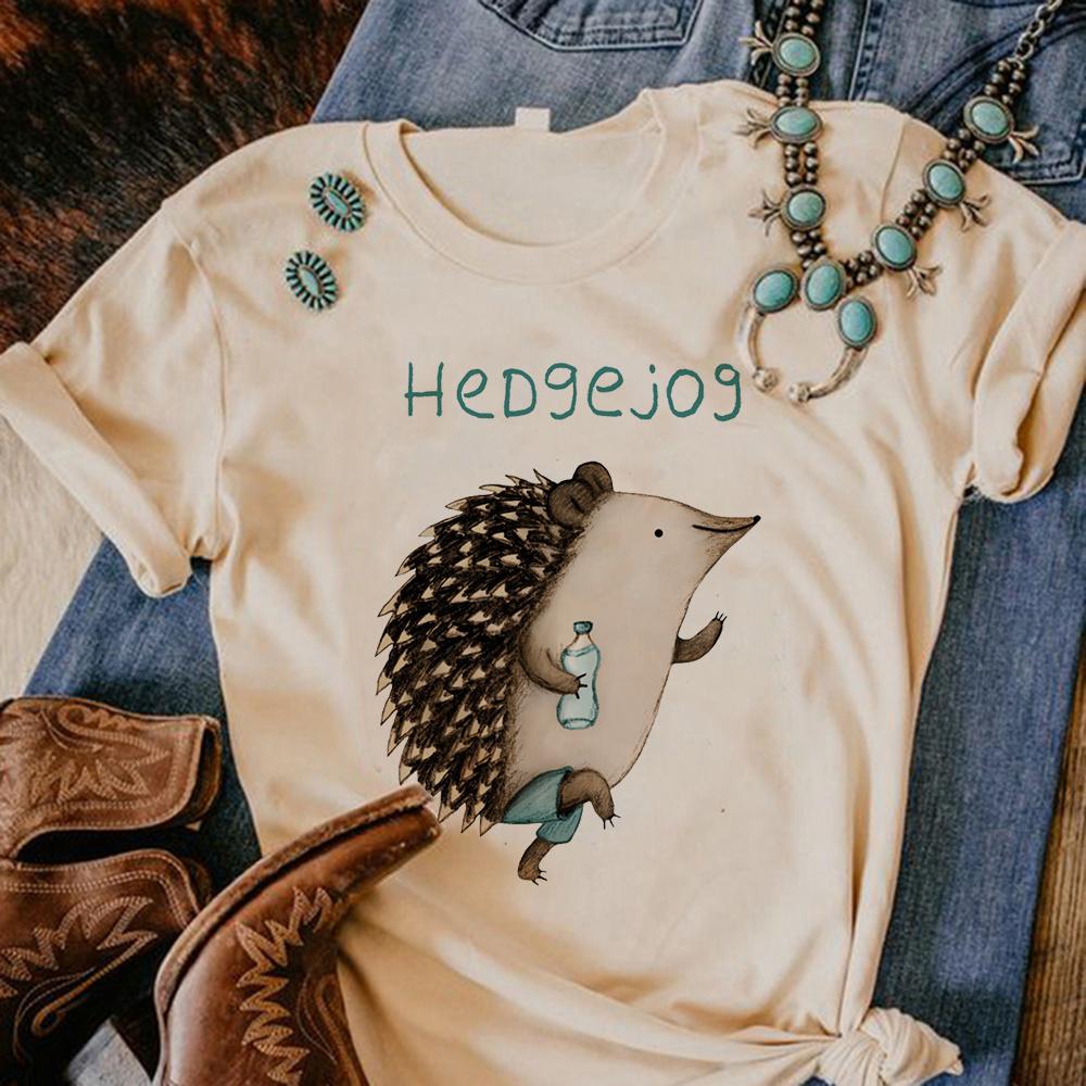 Hedgehog tshirt Women comic streetwear summer t shirt feUnisex comic 2000s designer clothes