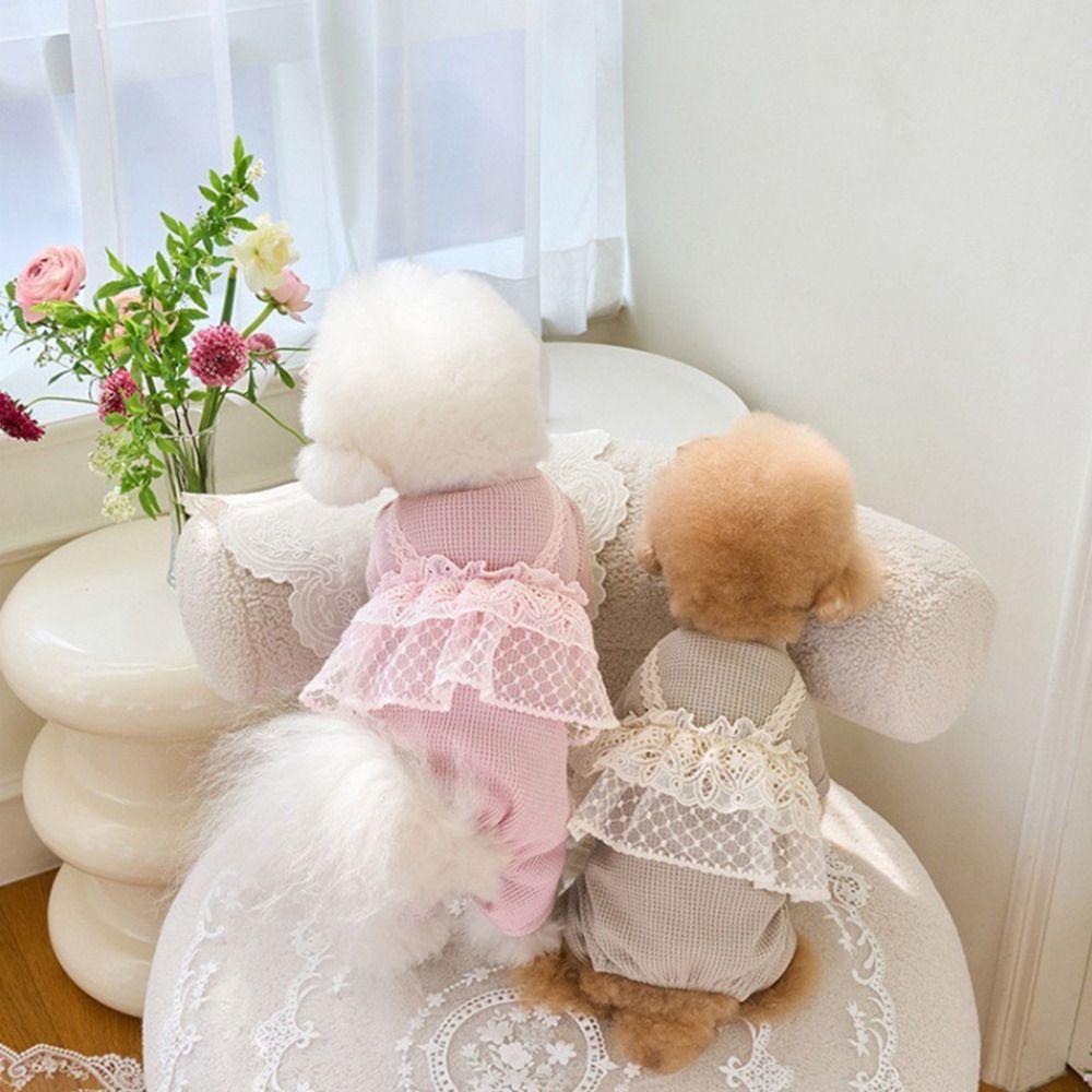 Lace Camisole Pet Spring Summer Jumpsuit Soft Pet Four Legged Coat Pet Supplies Dog Pajamas  Autumn