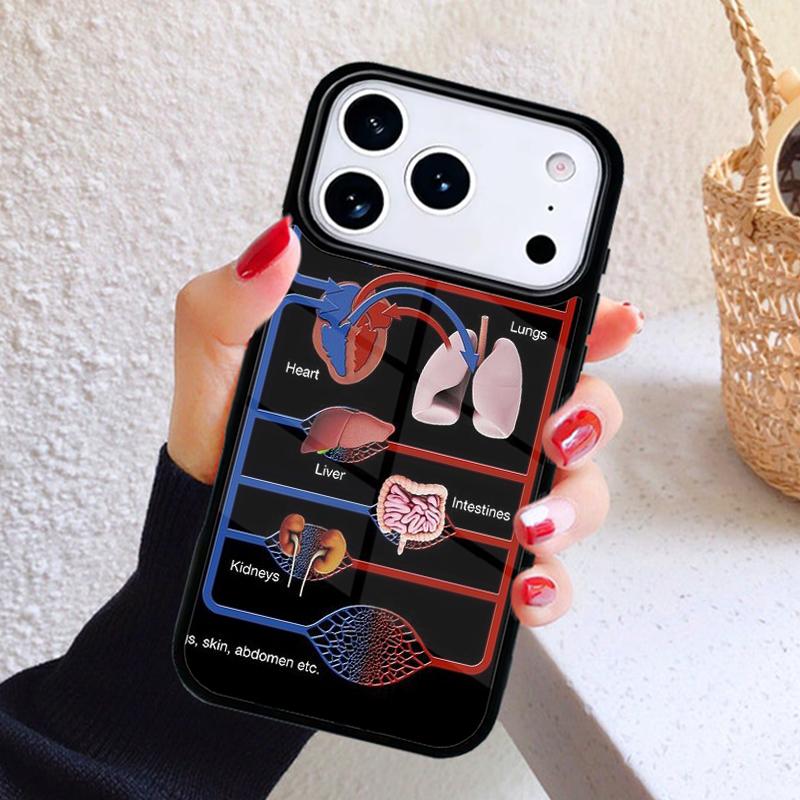 Чехол для телефона 'Человеческое сердце Мозг Легкие' для iPhone 17 Air 16 15 14 13 12 11 Pro Max Plus