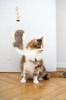 Natural Sheepskin Cat Toy: Squid String