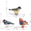 Animal Figure Desk Ornament With Static Design For Science Education And Bird Lovers