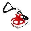 Adjustable Bird Harness And Leash Set for Avian Adventures