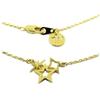 [P6959] - Колье ручной работы "Звезда родилась" золото - 12х11 мм
