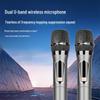 SAST ST-2002 Portable Karaoke KTV System CN plug (adapter included) (CN version)