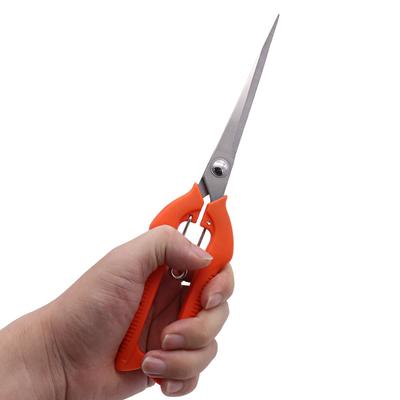 Ножницы для сбора фруктов, садовый инструмент из нержавеющей стали, ножницы, ножницы для сбора фруктов, секаторы растений, садовые инструменты