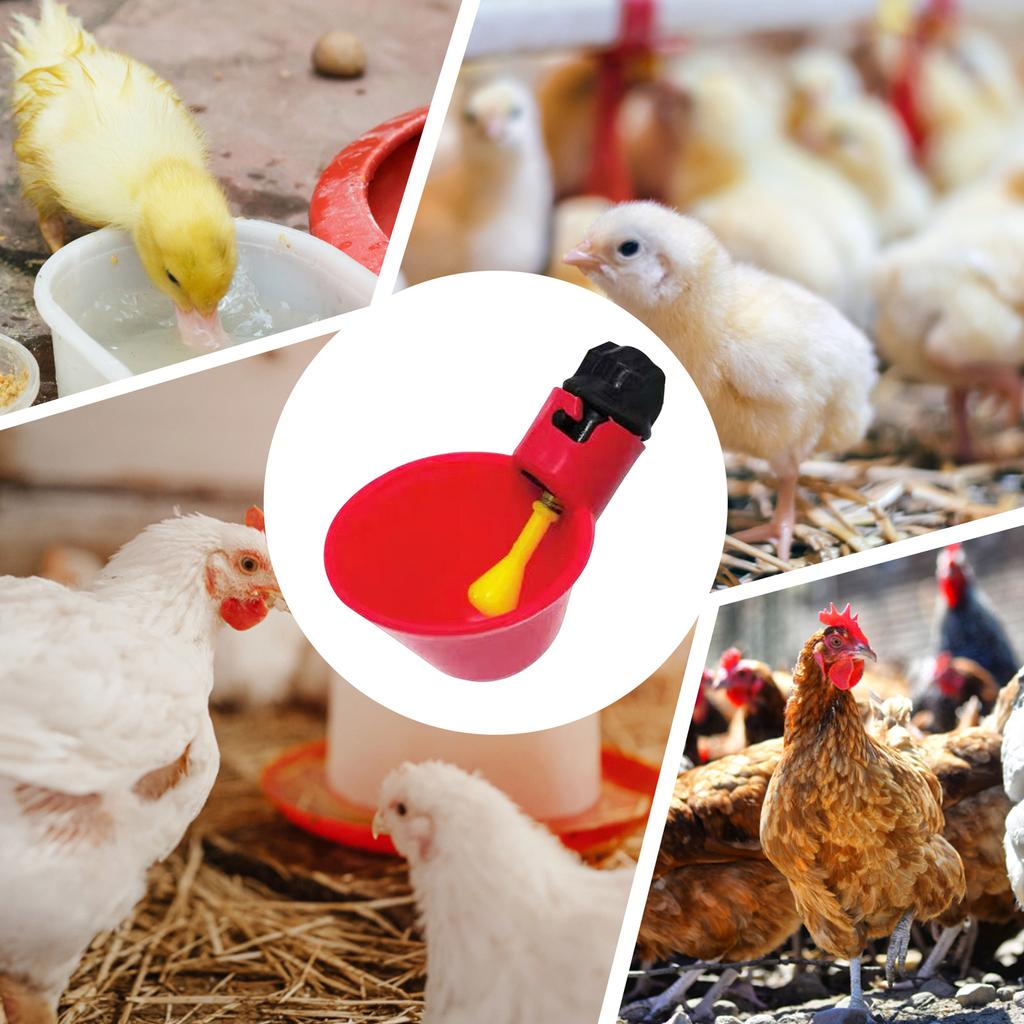 6/12 шт. подвесные чашки для воды для кур, перепелов, ниппельная поилка, миска для воды для птиц, поилки для автоматического содержания птицы на заднем дворе