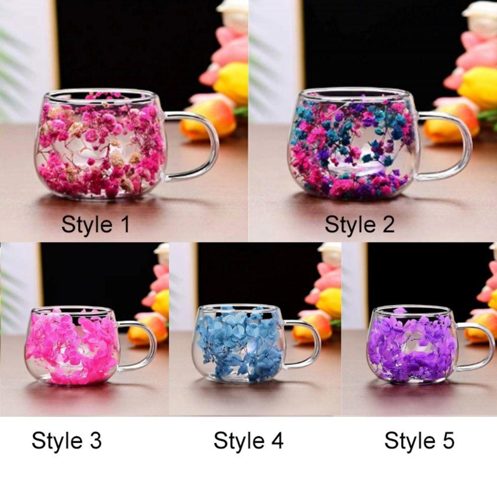 Молочная кружка с двойными стенками, прозрачная стеклянная кружка с двойной изоляцией, стеклянная кружка для сухоцветов, бытовая