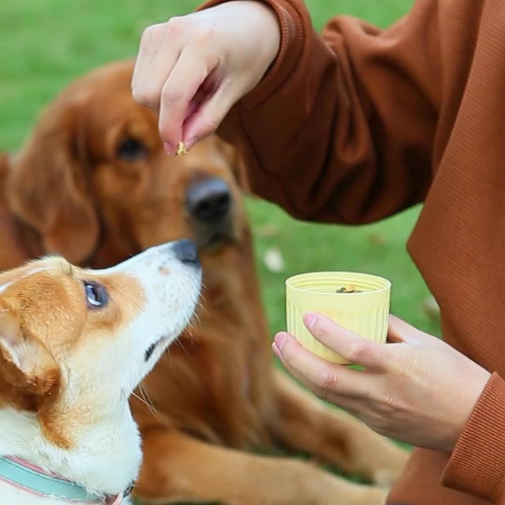 2 в 1 портативная бутылка для воды для собак маленьких, средних и больших собак, кошек, герметичная, многоразовая, для прогулок на свежем воздухе, миска для поения щенков, чихуахуа, товары для животных