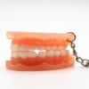 Resin Upper Jaw Teeth Shape Teeth Keyring Teeth Pendant Tooth Key Chain Denture Key Chain
