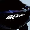 Generic Motorcycle Eagle Decal, Eagle Car Sticker | 2 Car Decals, Flame Eagle Stickers, Motorcycle Decals, SUV Motorcycle Car Decals