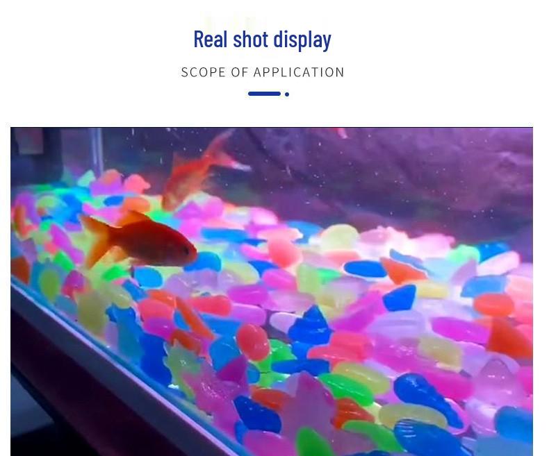 Glowing Marine Animal and Seashell Gemstone Toy for Aquariums by Luminous Stone