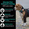 Dog Hip Knee Leg Brace Adjustable Dog ACL Brace for Back Hind Rear Legs Torn Tear Hip Dysplasia Arthritis Pet Knee Protector