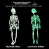 Glow in the Dark Skeleton Halloween Decoration