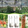 6 шт./набор Садовые роликовые крючки для растений Крючки для поддержки томатов Наборы Веревка для поддержки Веревка для томатов Баклажанов Арбузов Перцев