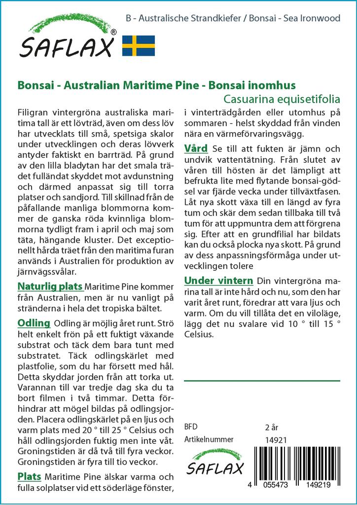 SAFLAX Бонсай - Sea Ironwood - 200 семян - Casuarina equisetifolia