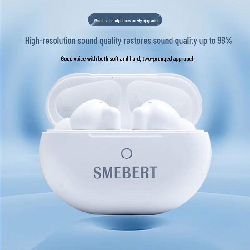 SMEBERT Schumann Y62 True Wireless Noise-Cancelling Earbuds