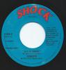 7-дюймовая пластинка GINGER (35) - Джули Энн 13503 Shock Records 1976 Канада Рок Б/у