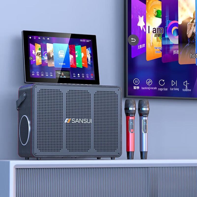 Sansui C6 Портативная KTV акустическая система «все в одном», штекер CN (адаптер в комплекте) (Китайская версия)