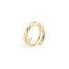 Ooco D04H_RI (Ring / 24K GOLD ION)