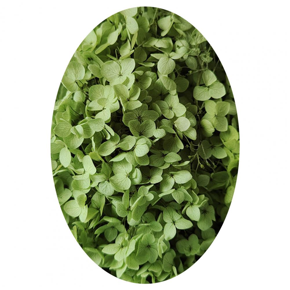 1 коробка цветных сухоцветов натуральные реалистичные головки гортензии своими руками натуральные свежие стабилизированные цветы гортензия свадебные сувениры